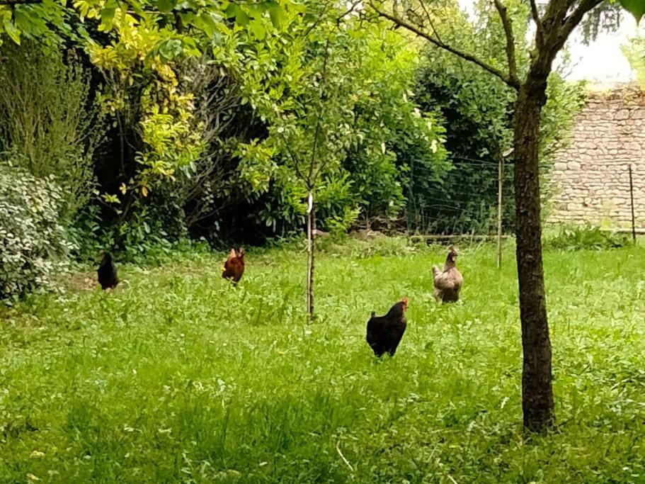 Le Cinq, Au Coeur Du Vexin Villa Themericourt Eksteriør bilde